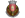 Portuguese Bragança First Division Logo Icon