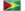 Guyana Logo Icon