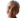 Selma Panengstuen Logo Icon