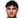 Stephano Carrillo Logo Icon