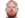 Ziggy Gordon Logo Icon