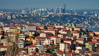 70081336.jpg Thumbnail