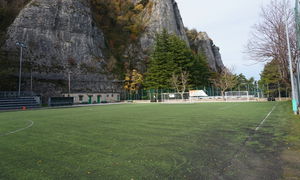 60001183.jpg Thumbnail