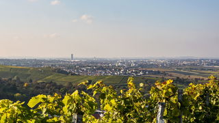 91203377.jpg Thumbnail
