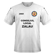 zalau2.png Thumbnail