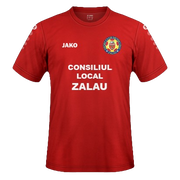 zalau1.png Thumbnail