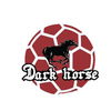 dark horse soccer club 2nd.jpg Thumbnail