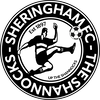 2000028841_uefa_eng___sheringham---25v1.png Thumbnail