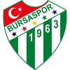 bursaspor amator.png Thumbnail