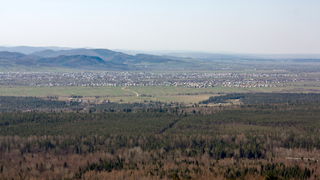 limnytsia pereginske.jpg Thumbnail