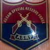 asrf.jpg Thumbnail