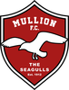 2000180971_uefa_eng___mullion---25v1.png Thumbnail