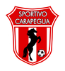 Escudo_del_Club_Sportivo_Carapeguá_Paraguay_2024.png Thumbnail