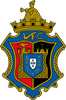 VILANOVENSE FUTEBOL CLUBE GAIA.png Thumbnail