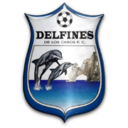 Delfines Fútbol Club de Los Cabos FM21 Guide - Football Manager 2021 Team  Guides