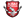 Kiwi Football Club Logo Icon