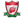 RC Tirlemont Logo Icon