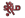 Lokeren-Doorslaar Logo Icon