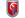 Esentepe Spor Logo Icon