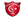 Türk Anadolu FF Logo Icon
